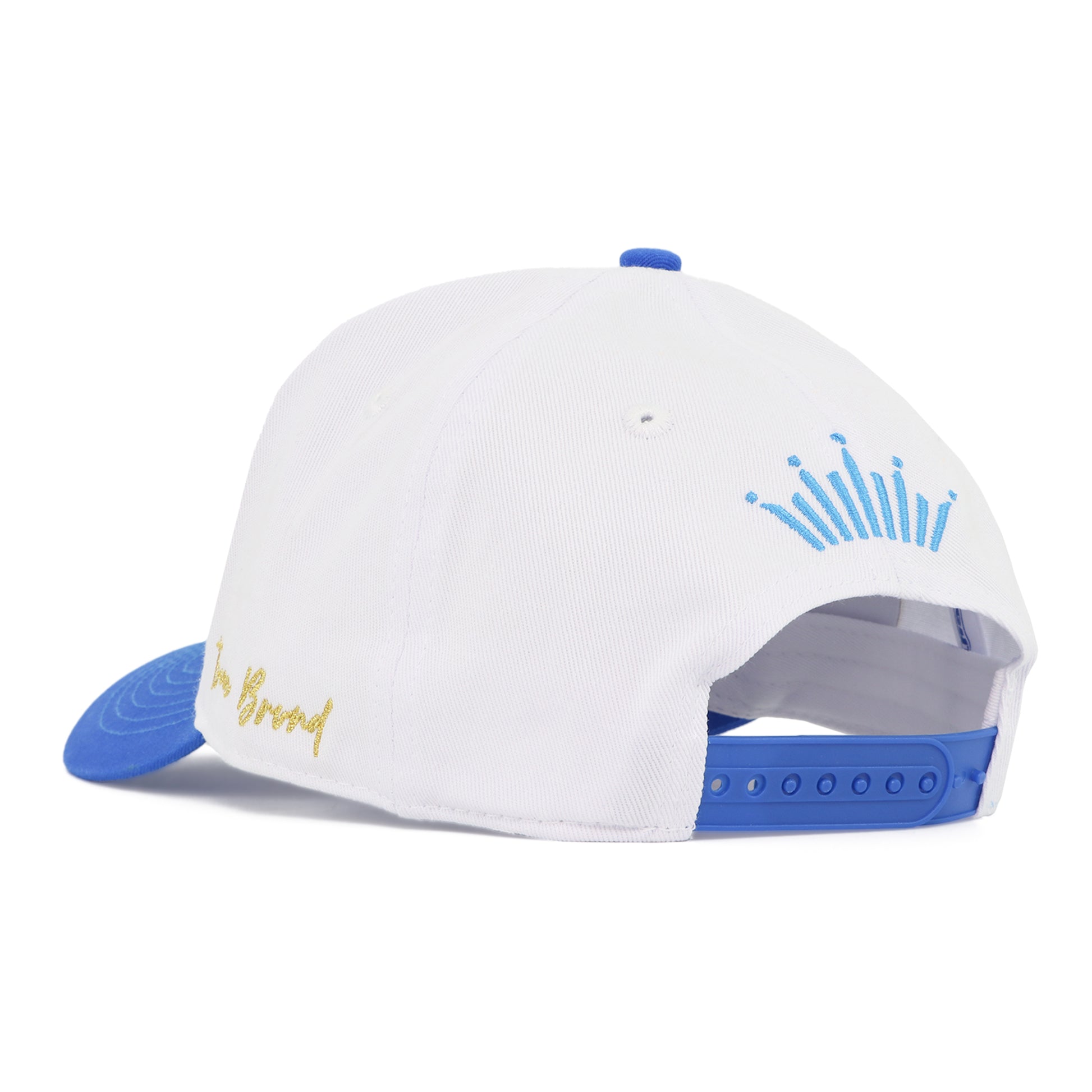 Back view of Bud Light TEU Hat