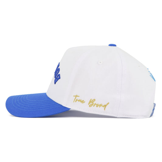 Side view of Bud Light TEU Hat